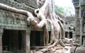 Ta Prohm