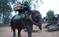 Elephant Ride At Phnom Bakkeng