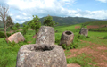 Plain Of Jars