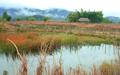 Landscape At Xieng Khouang