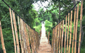 Hanging Bridge