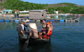 Basket Boat