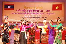 Vietnamese Festival